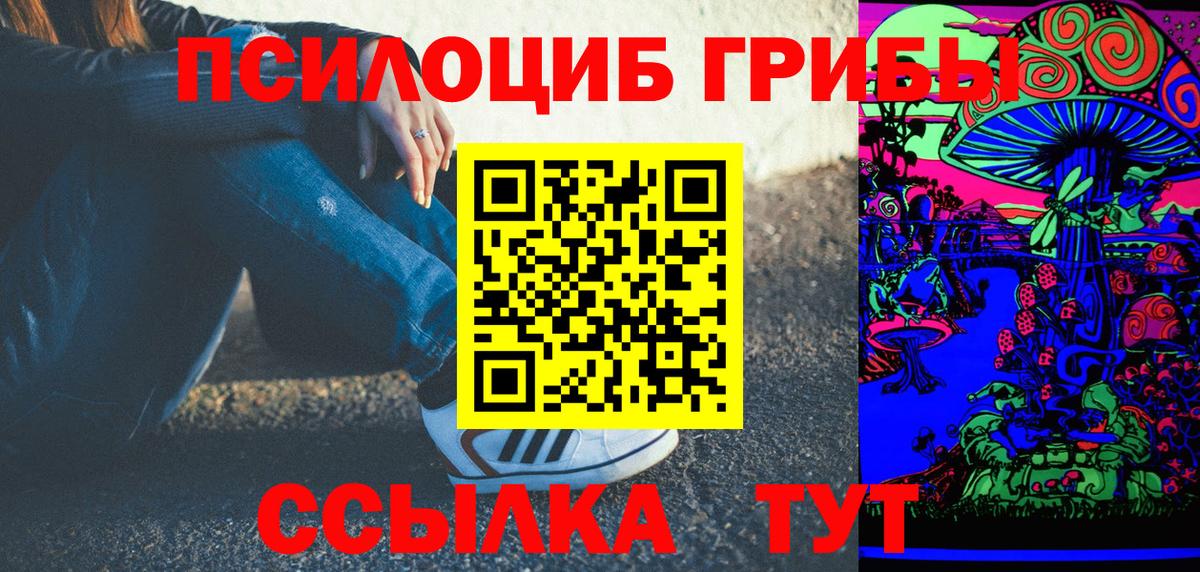 Галлюциногенные грибы GOLDEN TEACHER  Псилоцибиновые грибы GOLDEN TEACHER  Новосибирск  Вход с VPN 