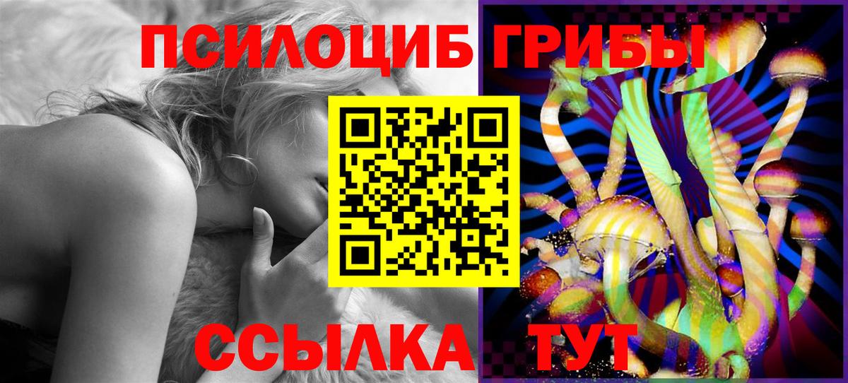 Псилоцибиновые грибы прущие грибы Новосибирск