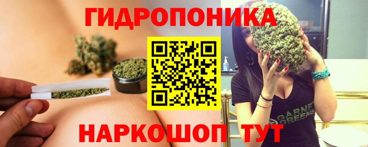 Шишки марихуана Ganja  Вход с VPN  Новосибирск  Бошки марихуана сатива  МАРИХУАНА MAZAR 